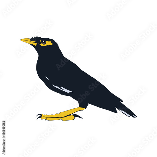 Bully bird illustration vector based on white background vol 04