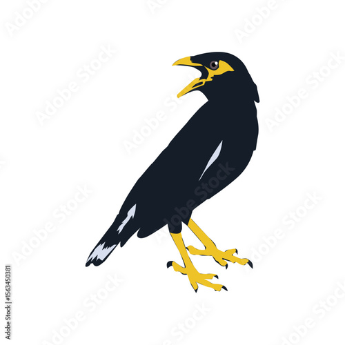 Bully bird illustration vector based on white background vol 03
