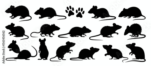 Set of rat silhouettes, rodent vector illustration, animal pest collection, paw prints