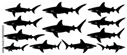 Shark silhouette set, black sharks on white, marine animal icons, ocean predator danger