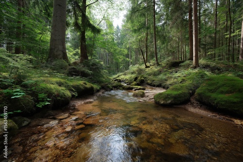 Serene forest stream flowing through lush green woodland scenery