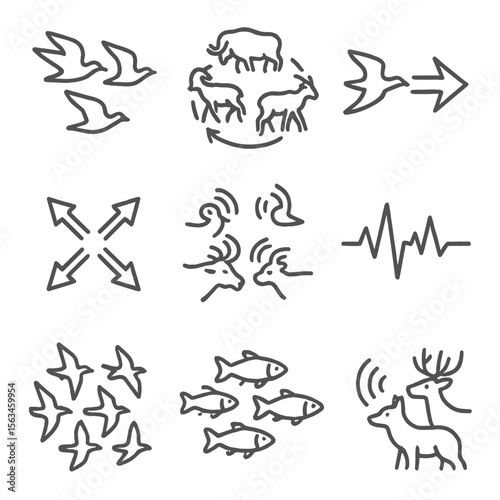 Wildlife Migration Icons. Line style icons of wildlife group behavior in migration: synchronized flight, herd turning icon, leader