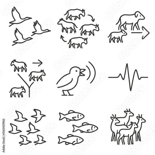 Wildlife Migration Icons. Line style icons of wildlife group behavior in migration: synchronized flight, herd turning icon, leader