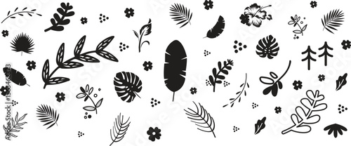 Leaf silhouettes, vector collection, diverse leaves shapes, nature elements. Ideal for eco friendly brand aesthetics, botanical illustrations, educational materials, artistic designs, decorations.