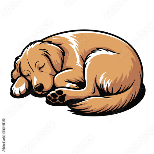 Bold vector illustration of a peaceful golden retriever sleeping curled up with soft fur and warm sunlight