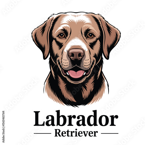 Clean vector illustration of a friendly chocolate Labrador Retriever head with soft eyes and gentle expression on white background