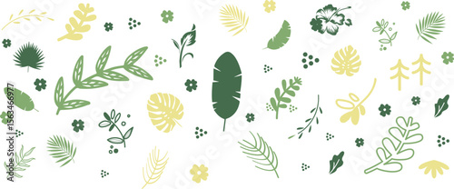 Leaf silhouettes, vector collection, diverse leaves shapes, nature elements. Ideal for eco friendly brand aesthetics, botanical illustrations, educational materials, artistic designs, decorations.