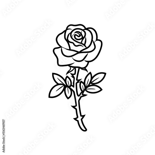 Detailed line drawing of a blooming rose with thorns and leaves for elegant designs, emblems, and beautiful floral elements.