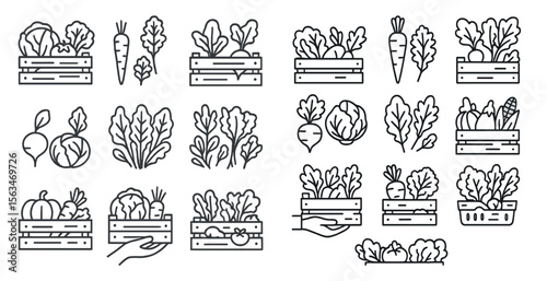 Set of vegetable icons, including carrots, broccoli, and lettuce. The icons are arranged in a grid, with some overlapping and some not. Scene is one of abundance and freshness