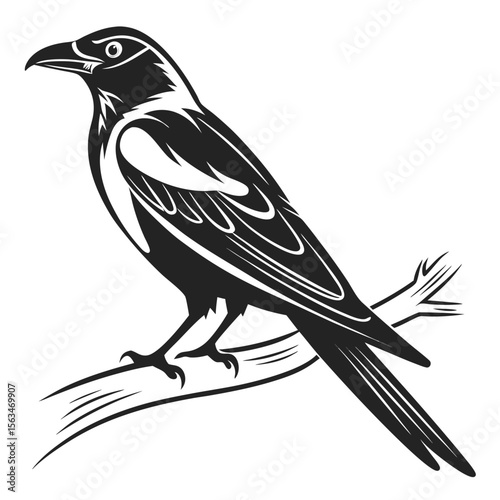 Black and White Crow Perched on Branch Illustration