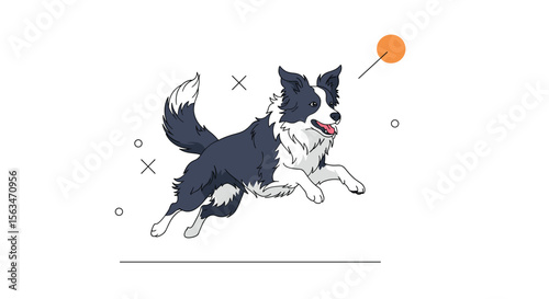 Energetic Border Collie Dog Chasing an Orange Ball in a Fun Playful Outdoor Setting