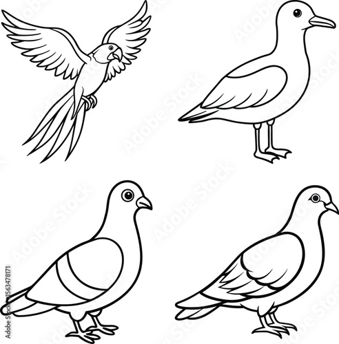 set of pigeons