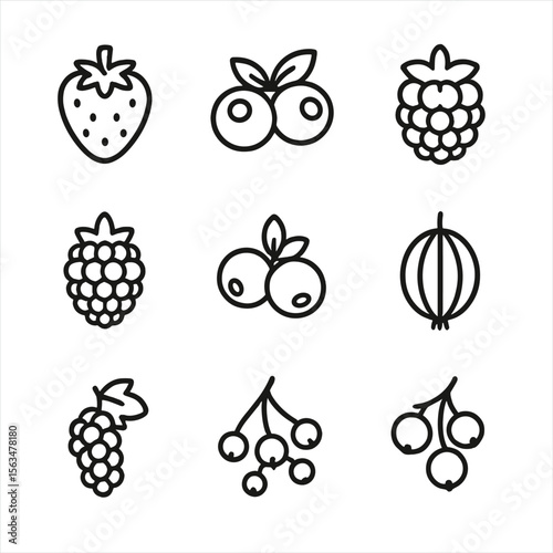 Berry Line Icons. Line style icons of Berries: strawberry, blueberry, raspberry, blackberry, cranberry, gooseberry, mulberry,