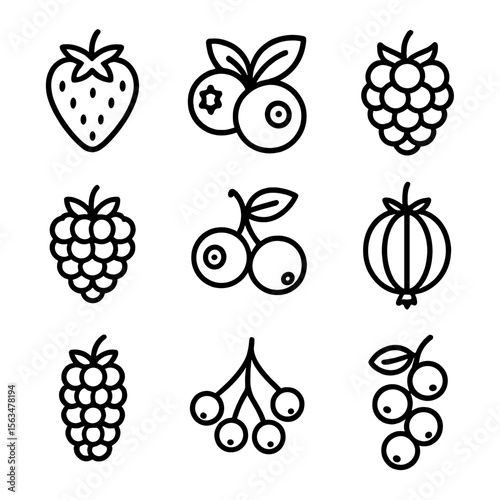 Berry Line Icons. Line style icons of Berries: strawberry, blueberry, raspberry, blackberry, cranberry, gooseberry, mulberry,