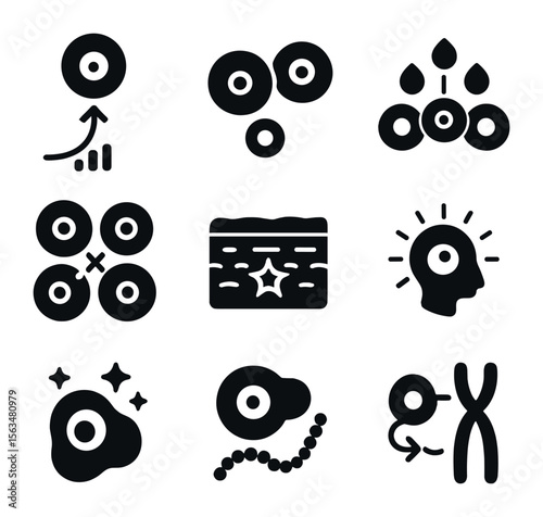 Cell Regeneration Icons. Solid, filled icons set of cell regeneration stages: cell growth, mitosis phases,