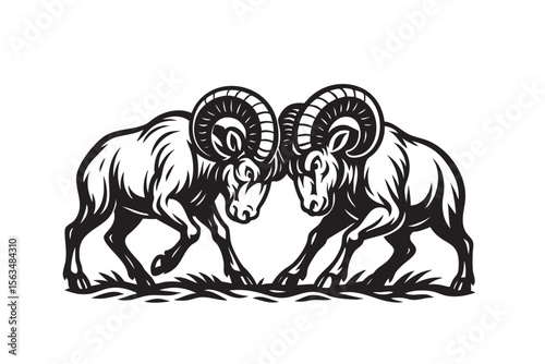 Vector illustration of two mountain goats fighting, symbolizing strength and challenge. Wildlife Animals.