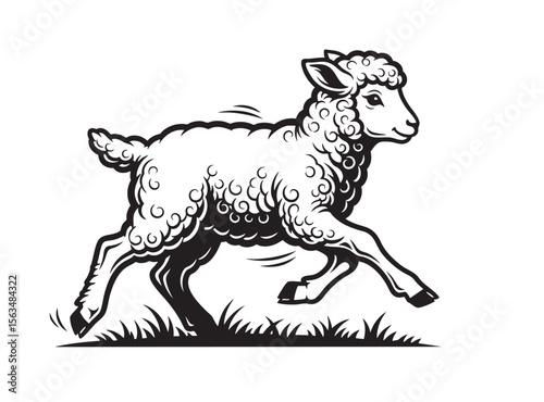Vector illustration of a cute lamb running playfully through grass. Farm animals.
