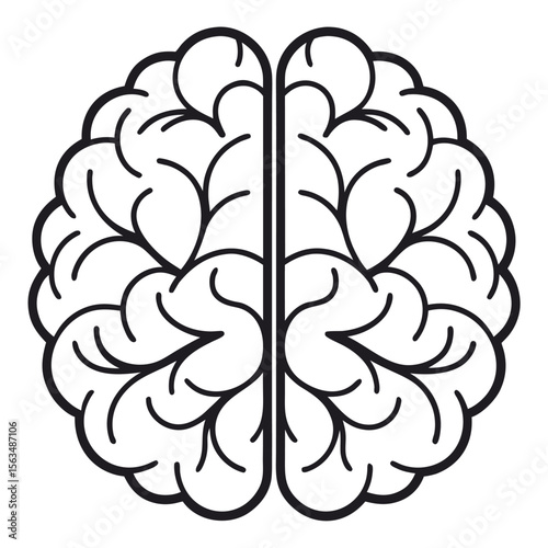 Stylized Brain Outline lobes cerebral