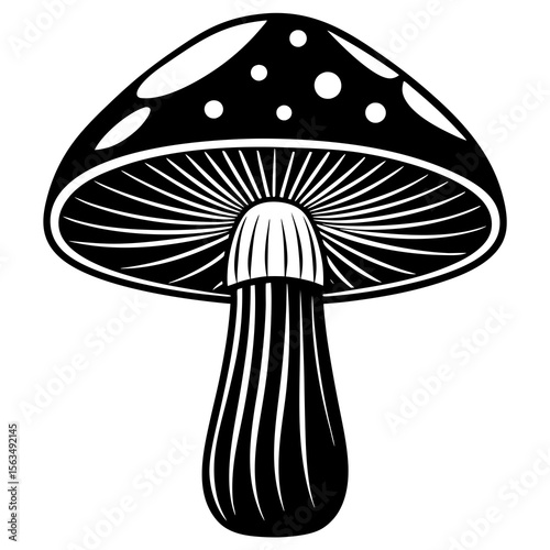 mushrooms