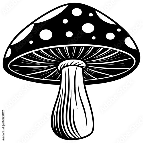 mushroom vector illustration