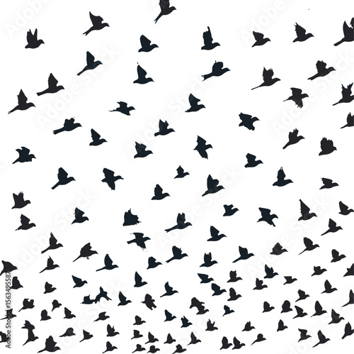 A stunning collection of black bird silhouettes captured in various stages of flight, creating a dynamic and elegant pattern against a clean white background. This versatile image perfectly symbolizes