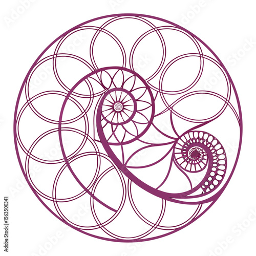 Circular pattern with spiral design in purple showcasing geometric symmetry and repeating shapes and forms