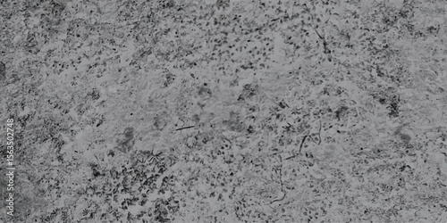 Monochrome abstract texture representing concrete or stone with a speckled and weathered appearance, showcasing a natural and rough surface.