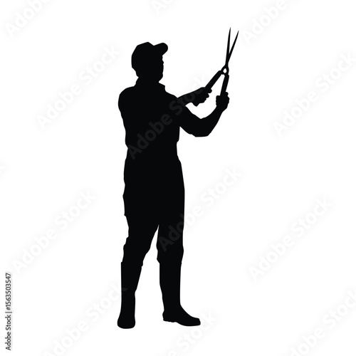 Silhouette of a Gardener Trimming with Hedge Shears