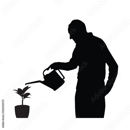 Silhouette of a Person Gardening by Watering a Potted Plant