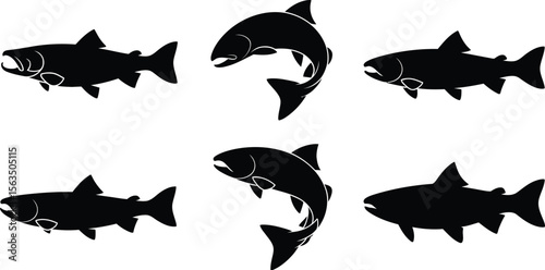 A dynamic set of aggressive jumping and swimming salmon fish silhouette vector icons isolated on a white background for logos.