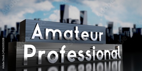 Amateur, professional - metal blocks and skyscrapers - 3D illustration