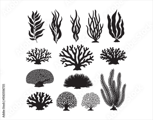 Set of black silhouette illustrations of different seaweeds and corals, perfect for marine-themed visuals.


