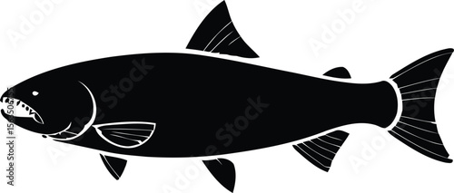 A single payara or vampire tetra fish silhouette vector illustration, showing the predatory animal with sharp teeth on white.