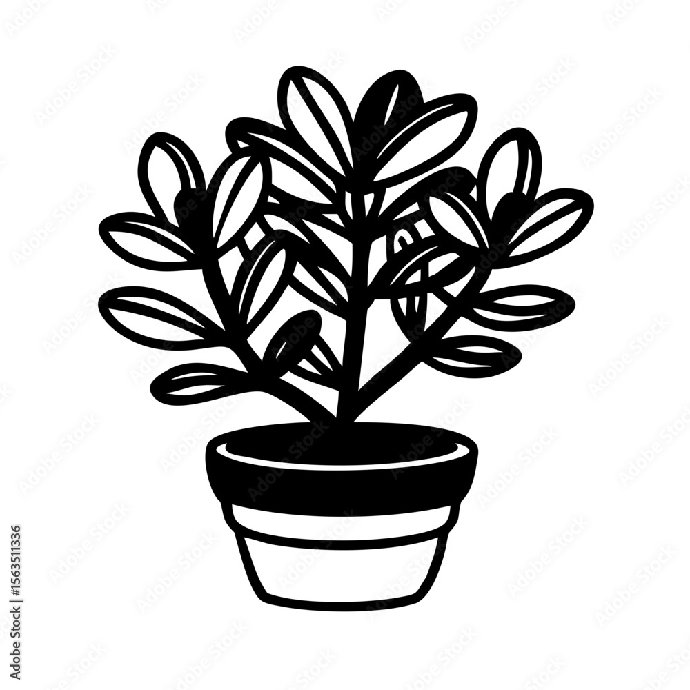 Obraz premium plant in pot