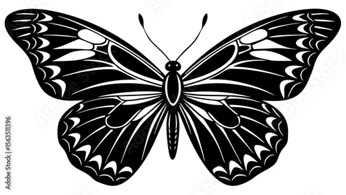 butterfly vector illustration