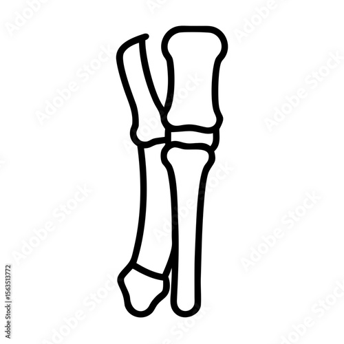 3d rendered illustration of a human spine