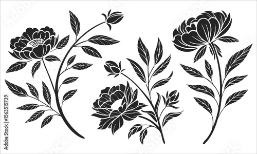 Black floral branches with leaves and buds botanical