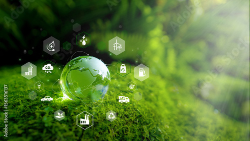 Crystal Earth On Soil In Forest With Ferns And Sunlight - Environment, save clean planet Concept. ESG, Green businesses, ecology Net zero, Green energy, Green technology, sustainable environment, CSR.