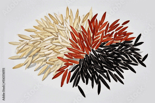 Seeds of Hue rice grains white, red, black isolated watercolor vector illustration svg