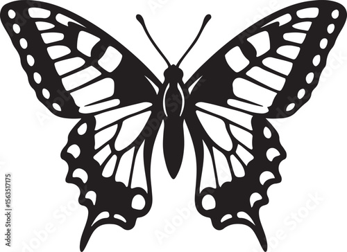 Elegant butterfly design black and white art, Delicate insect outline minimal vector