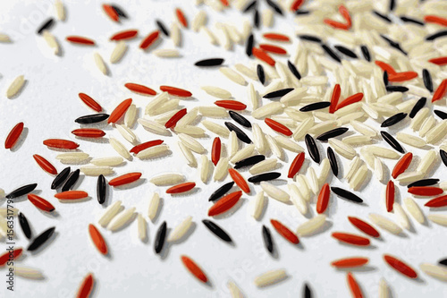 Chromatic Grains rice grains white, red, black isolated watercolor vector illustration svg
