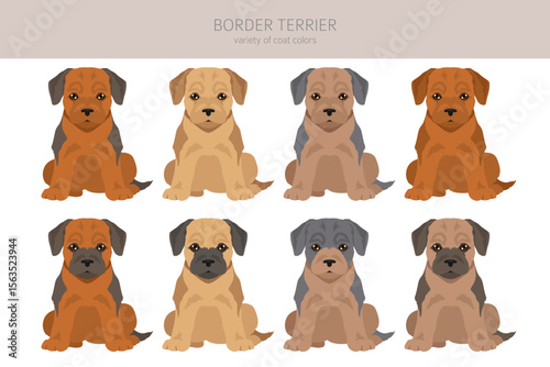 Border terrier clipart. Different coat colors and poses set.  Vector illustration