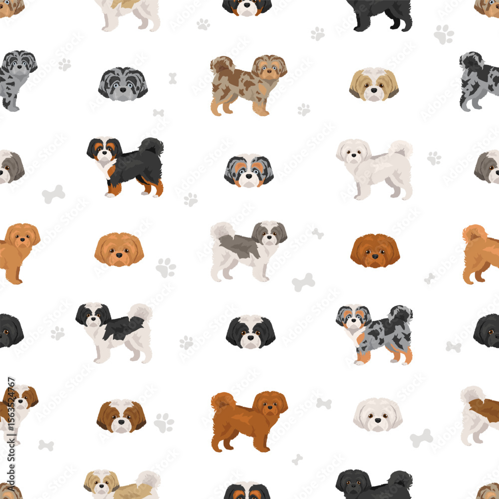 Obraz premium Shih-Poo clipart. Shih-Tzu Poodle mix. Different coat colors set. Vector illustration
