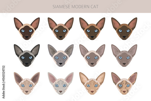 Siamese (Thai) Cat clipart. Modern type. All coat colors set.  All cat breeds characteristics infographic. Vector illustration