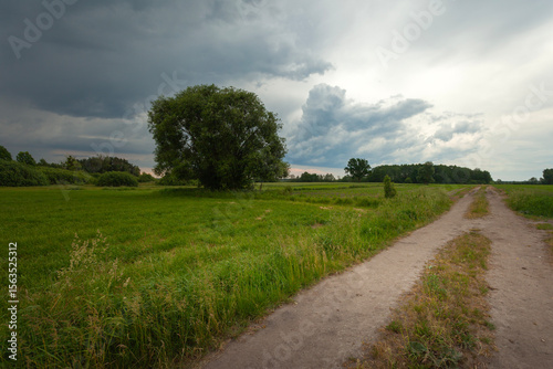 Dark storm clouds over a meadow with a tree and a dirt road