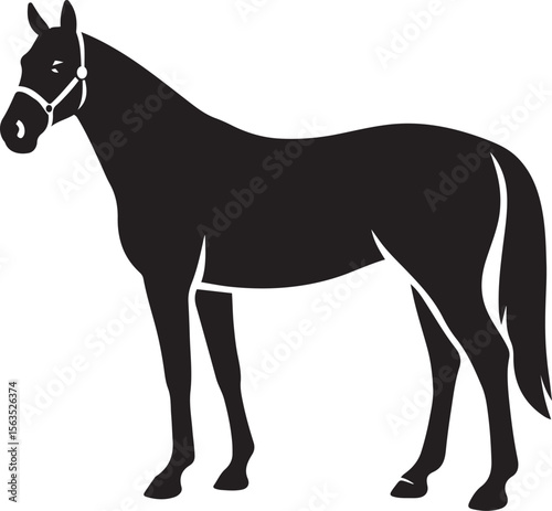 Horse silhouette with bridle head detail, Stylish bridle horse vector drawing