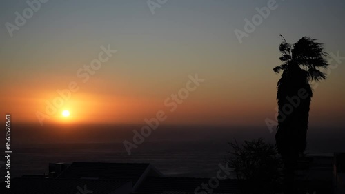 Tropical sunset over ocean with palm tree silhouette and rooftops