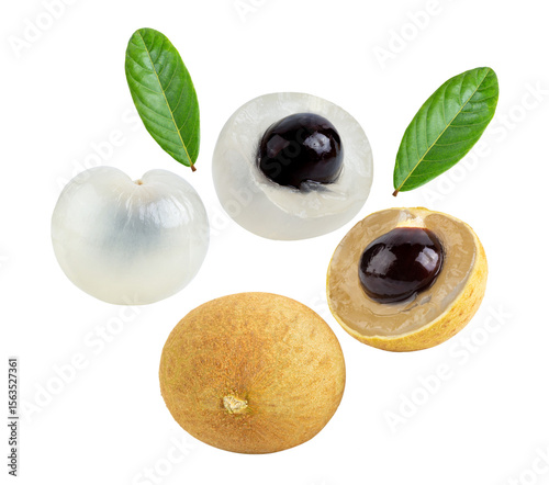 Longan  isolated on transparent png (Image from camera)