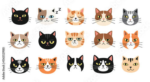 Collection of adorable feline faces expressing a variety of emotions and personalities