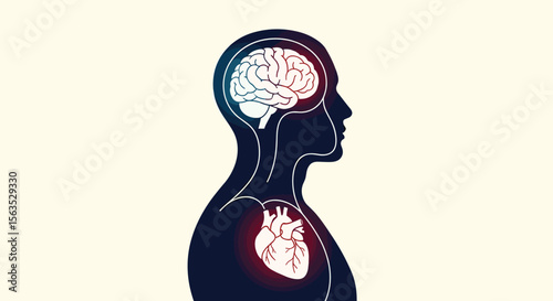 The interconnected systems of the human brain and heart understanding their vital relationship